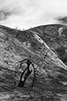 CA10 After Woolsey Fire